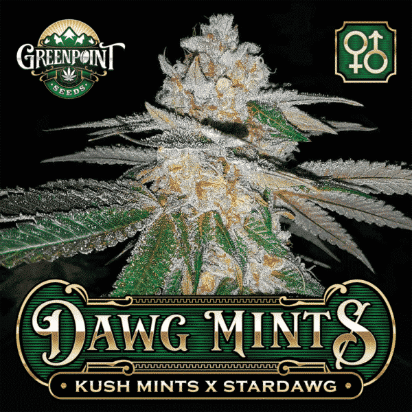 Dawg Mints archive 0