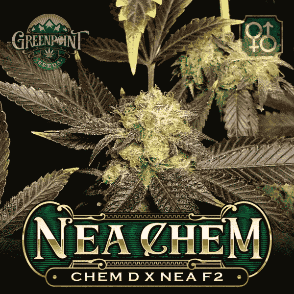 Nea Chem