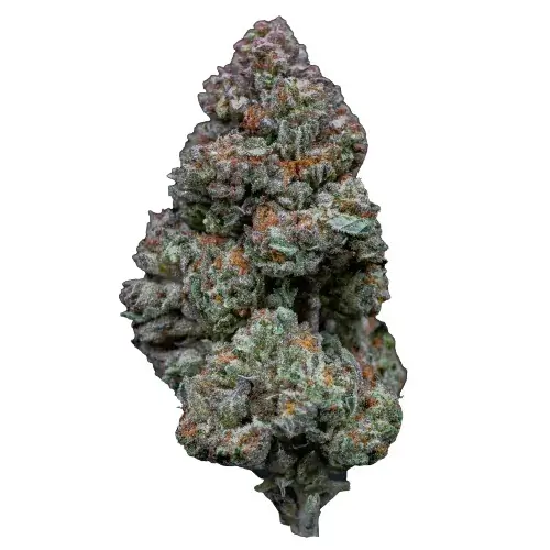 RS11: strain page photo, credit seedfinder.eu, copyright status shown with credit copyright unverified