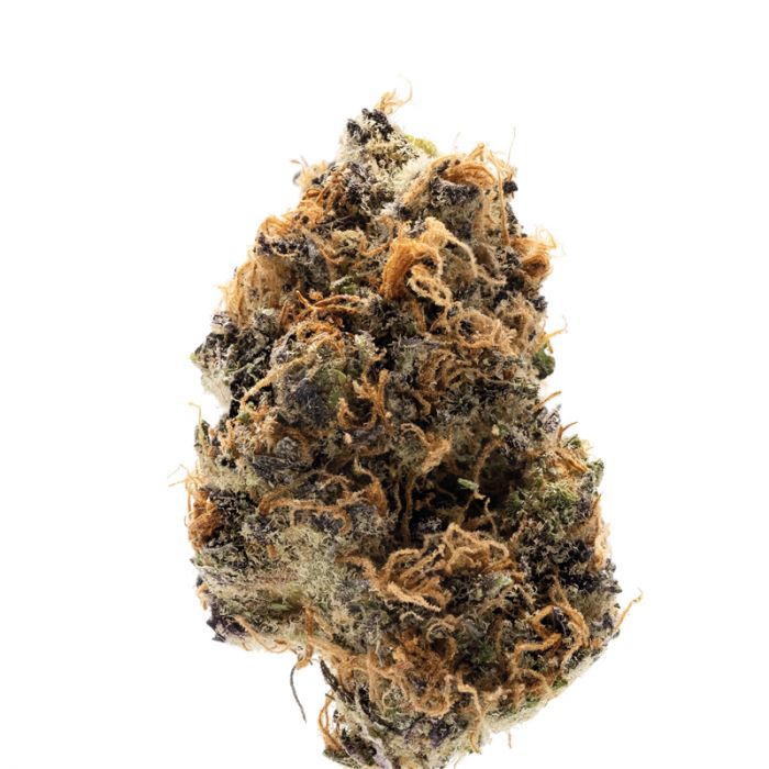 Watermelon Punch Autoflower