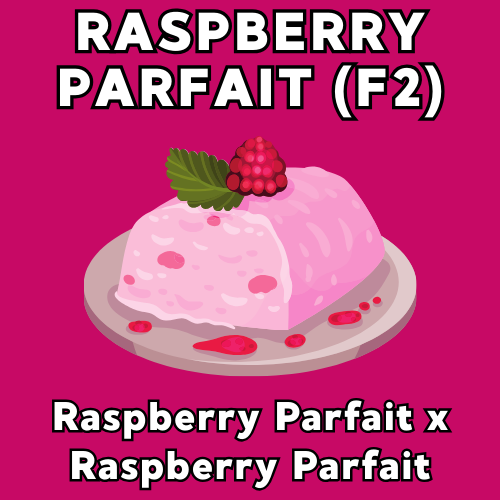 Raspberry Parfait Auto F2 archive 0
