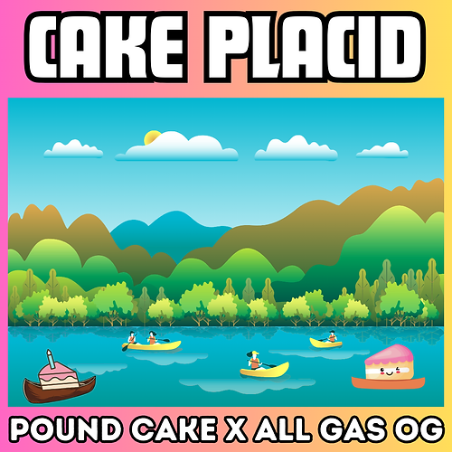 Cake Placid archive 0