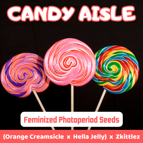 Candy Aisle archive 0