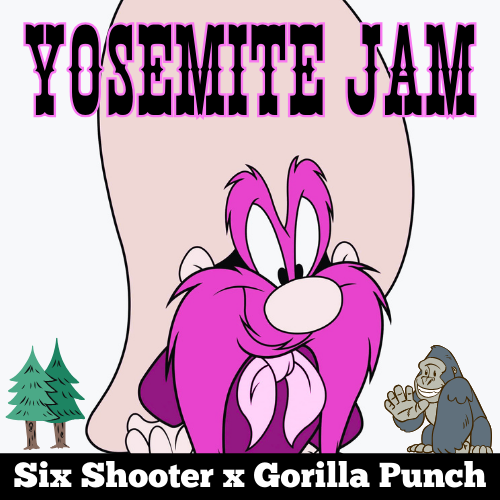 Yosemite Jam