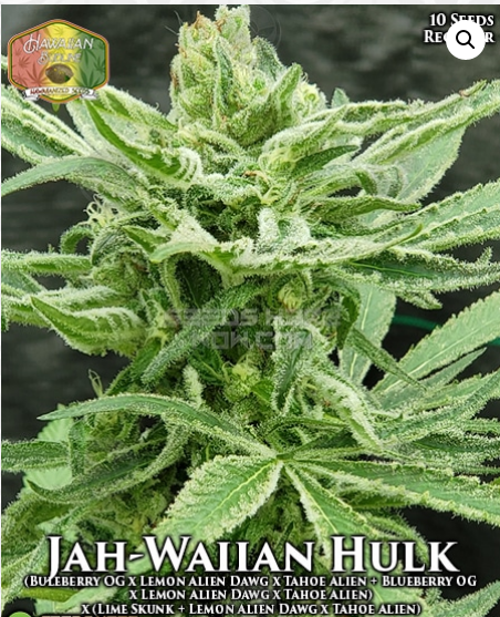 Jah-Waiian Hulk