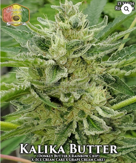 Kalika Butter