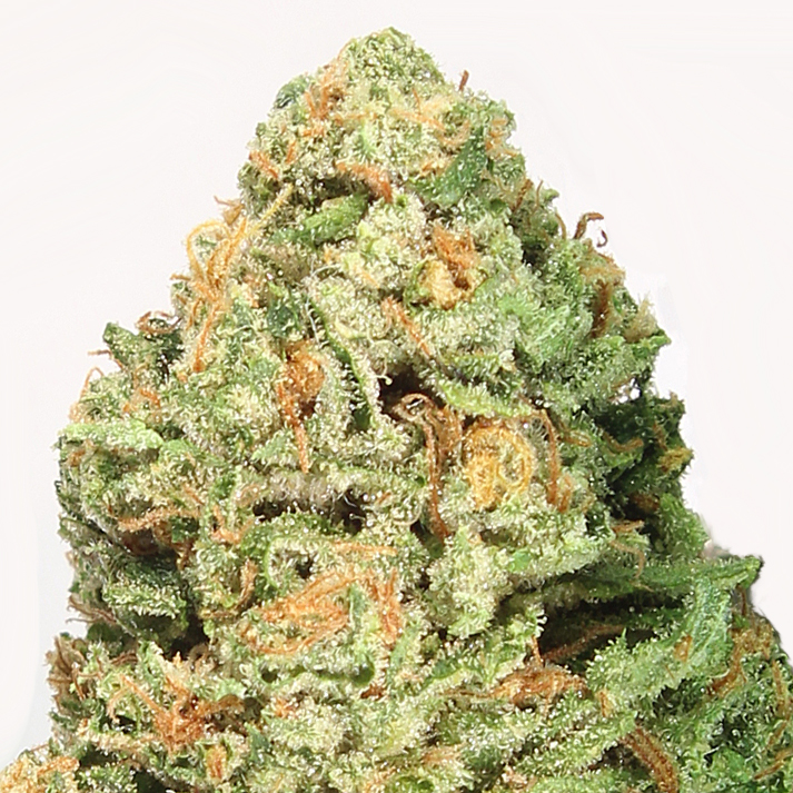 Fruit Punch: strain page photo, credit seedfinder.eu, copyright status shown with credit copyright unverified