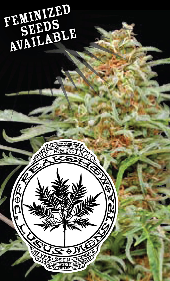Freakshow (Humboldt Seed Company) :: Cannabis Strain Info :: SeedFinder.eu