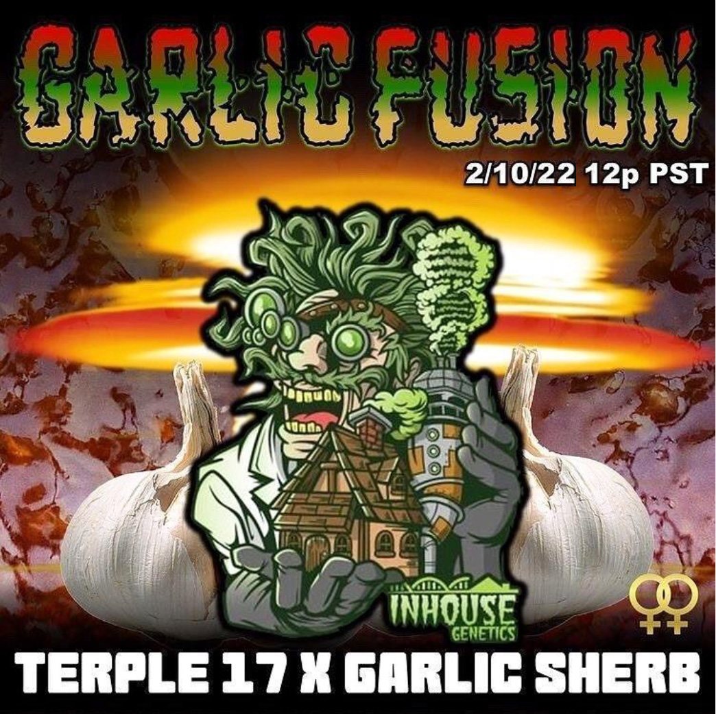 Garlic Fusion archive 0