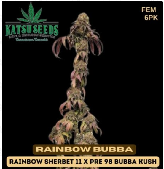 Rainbow Bubba