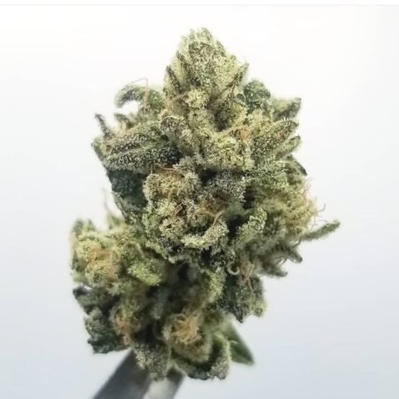 Dirty Z flower, as labeled by the cited photo source