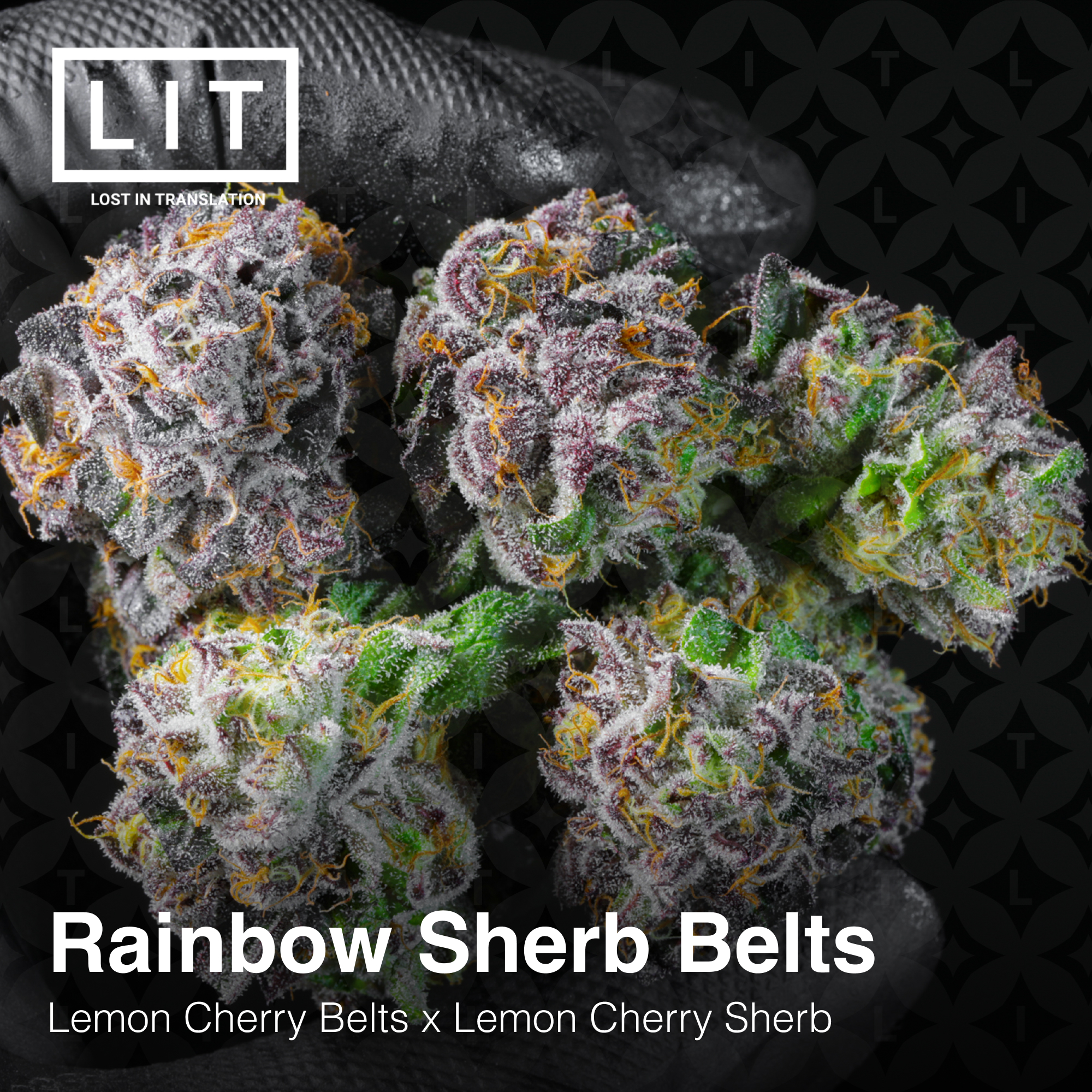 Rainbow Sherb Belts
