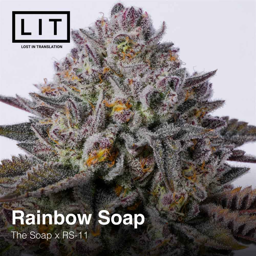 Rainbow Soap