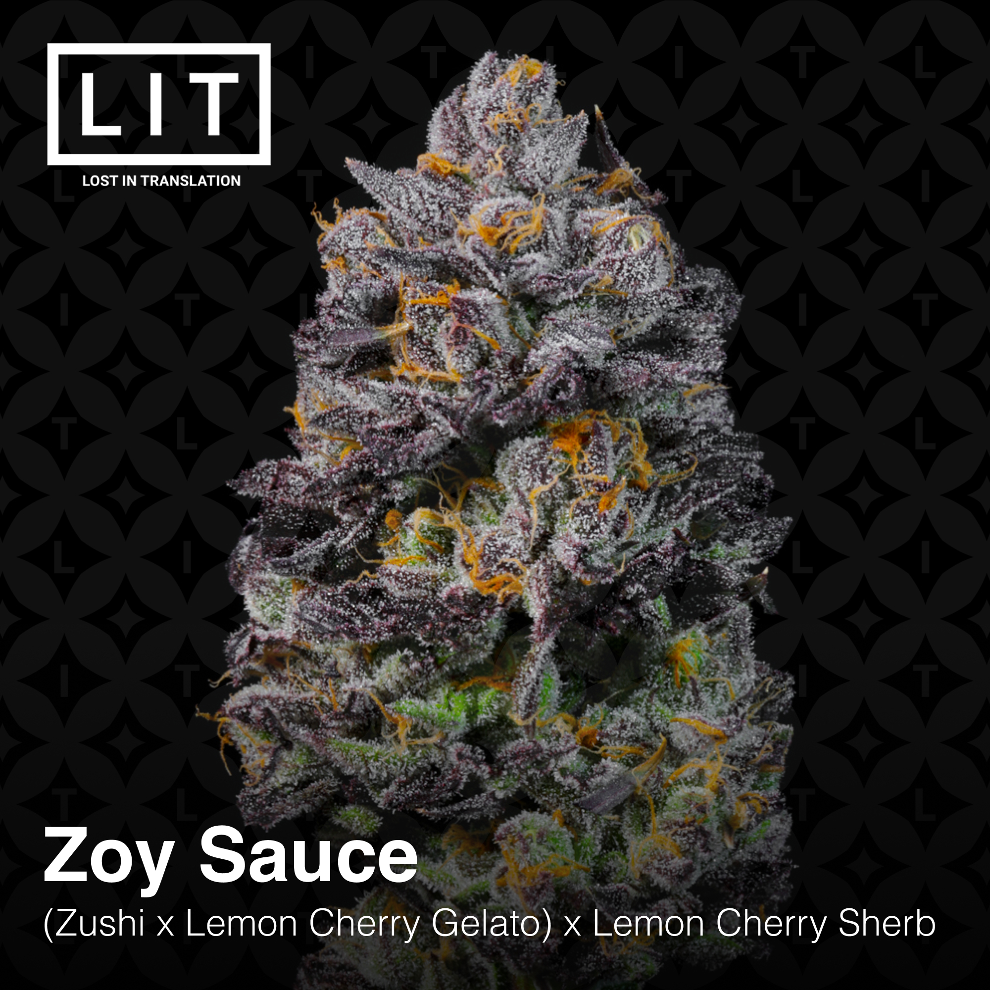 Zoy Sauce