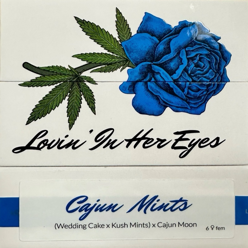 Cajun Mints archive 0