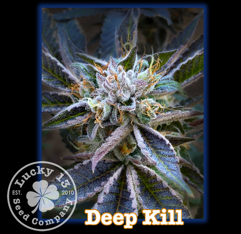 Deep Kill