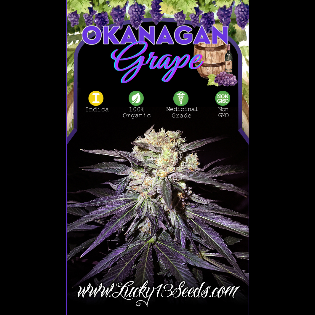 Okanagan Grape archive 0