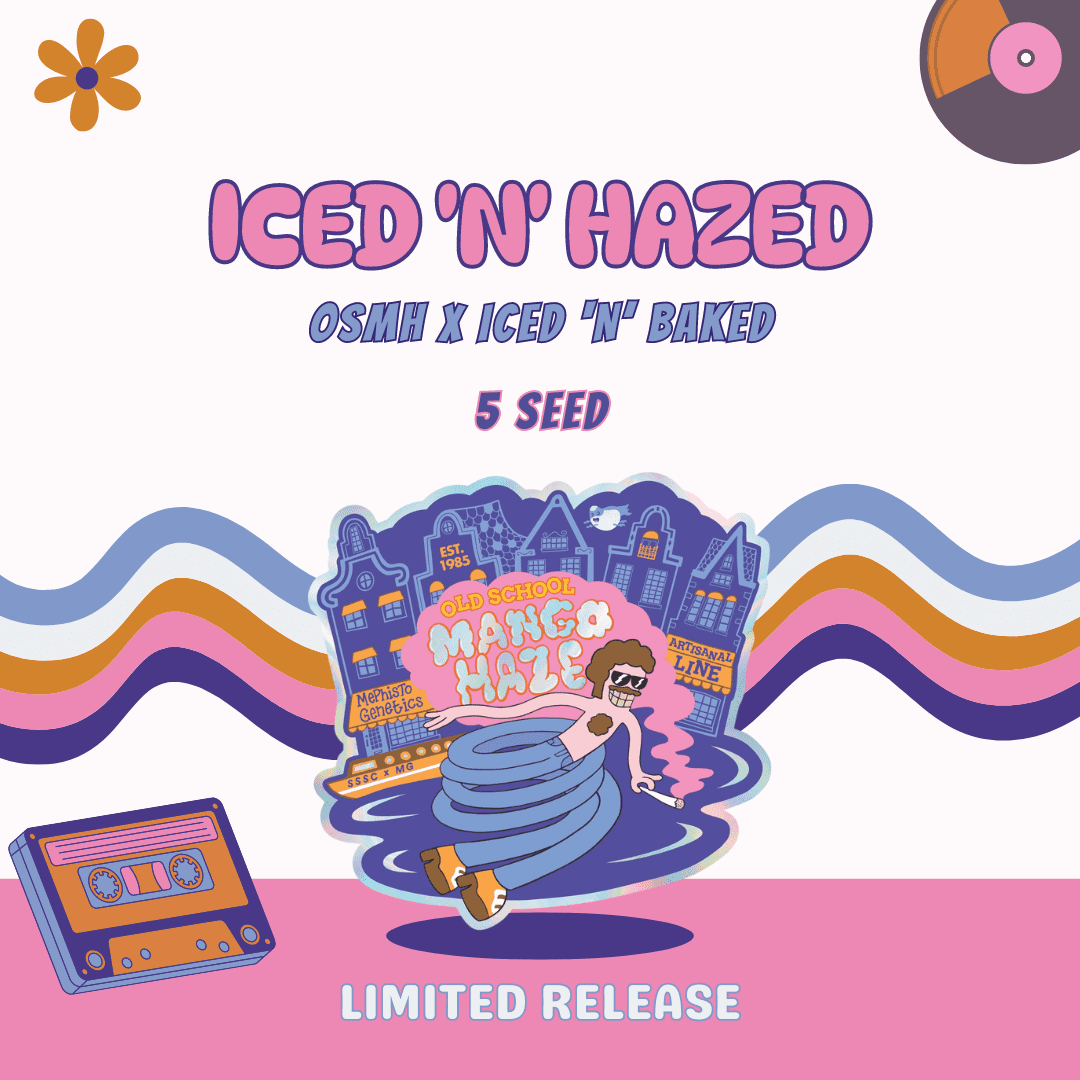 Iced 'n' Hazed archive 0