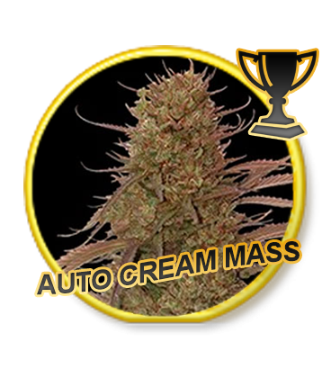Auto Cream Mass archive 0