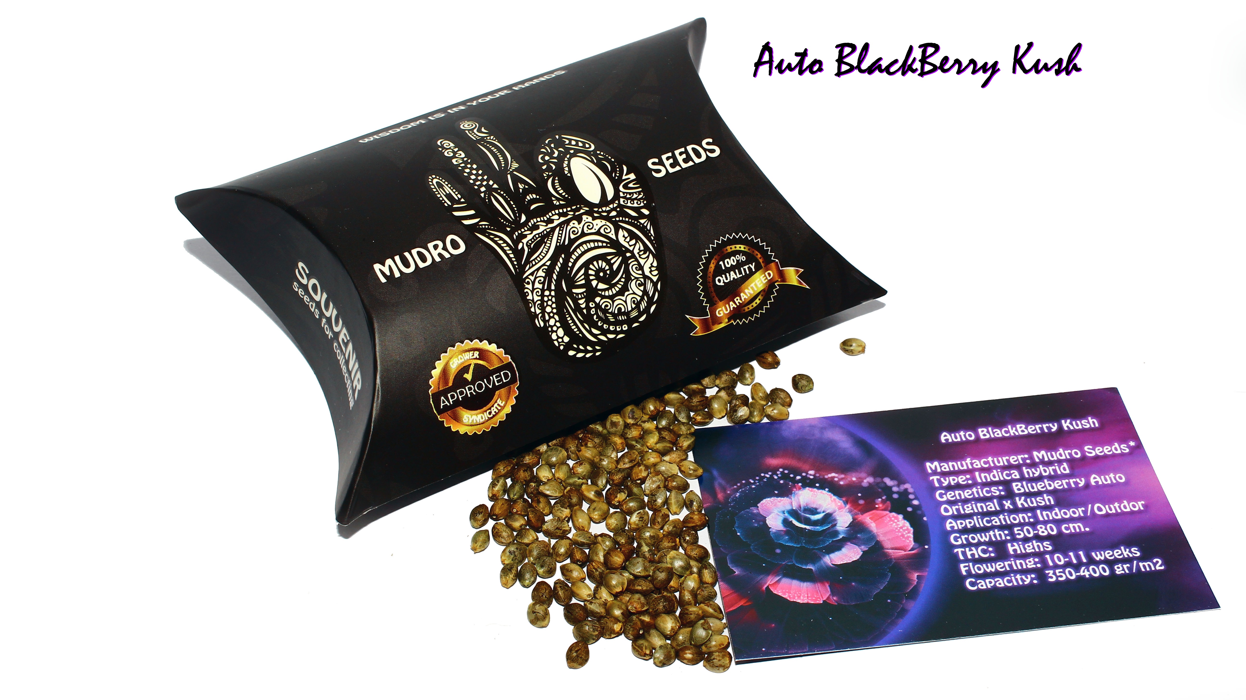 Auto BlackBerry Kush