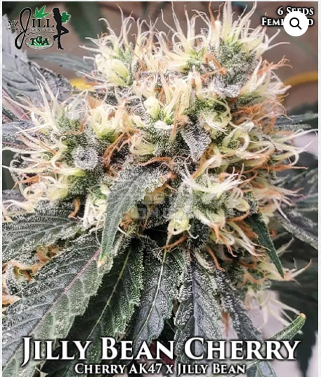 Jilly Bean Cherry