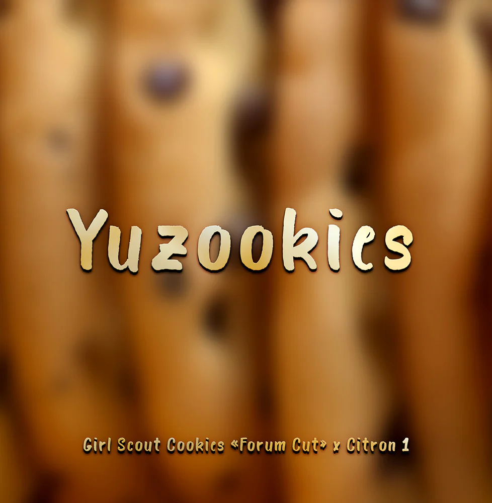 Yuzookies archive 0