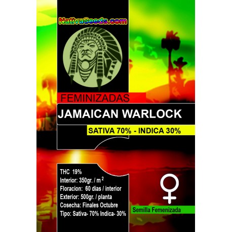 Jamaican Warlock