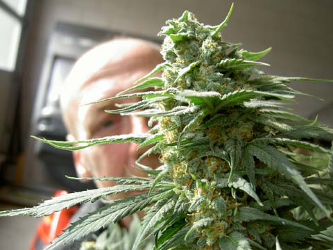 No Mercy Special archive 0