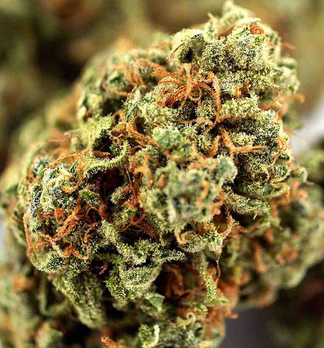 OG Cream flower, as labeled by the cited photo source