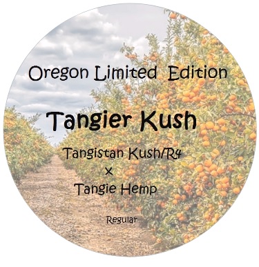 Tangier Kush