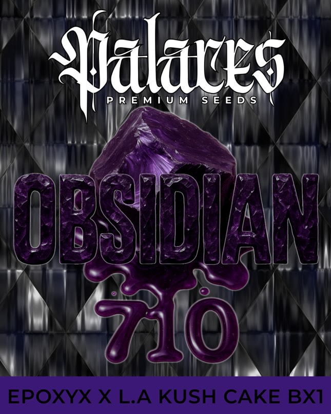 Obsidian 710