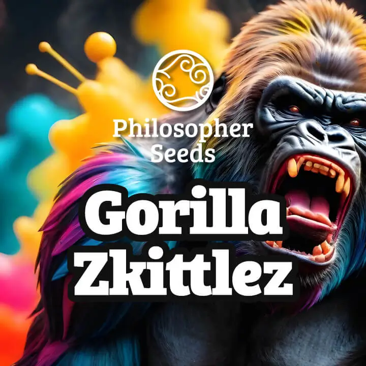 Gorilla Zkittlez (Philosopher Seeds) :: Cannabis Strain Info