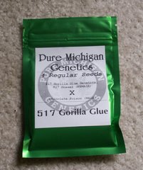 517 Gorilla Glue
