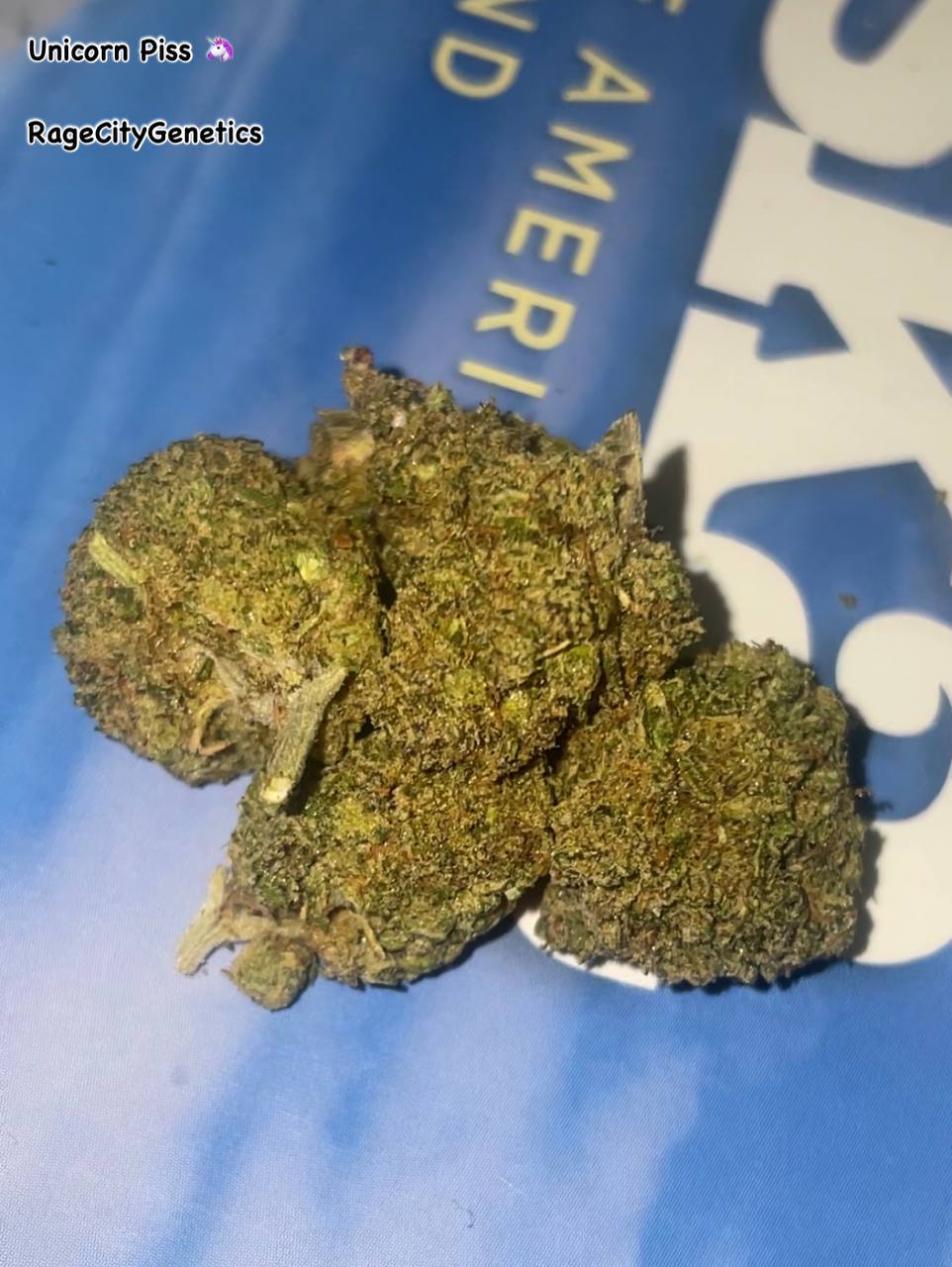 Unicorn Piss