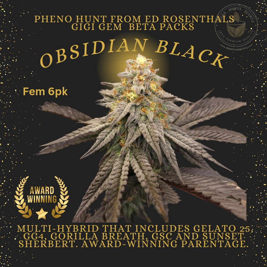 Obsidian Black