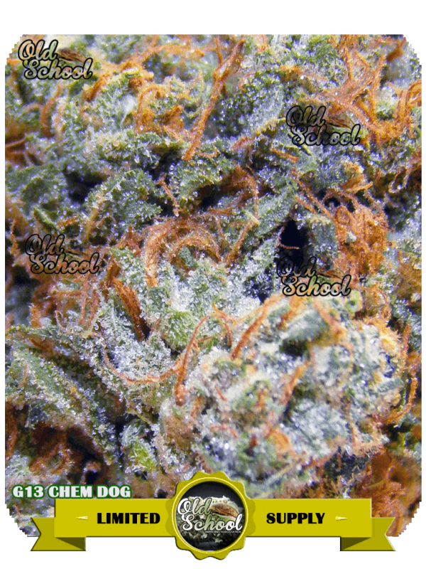 G13 Chem Dog archive 0