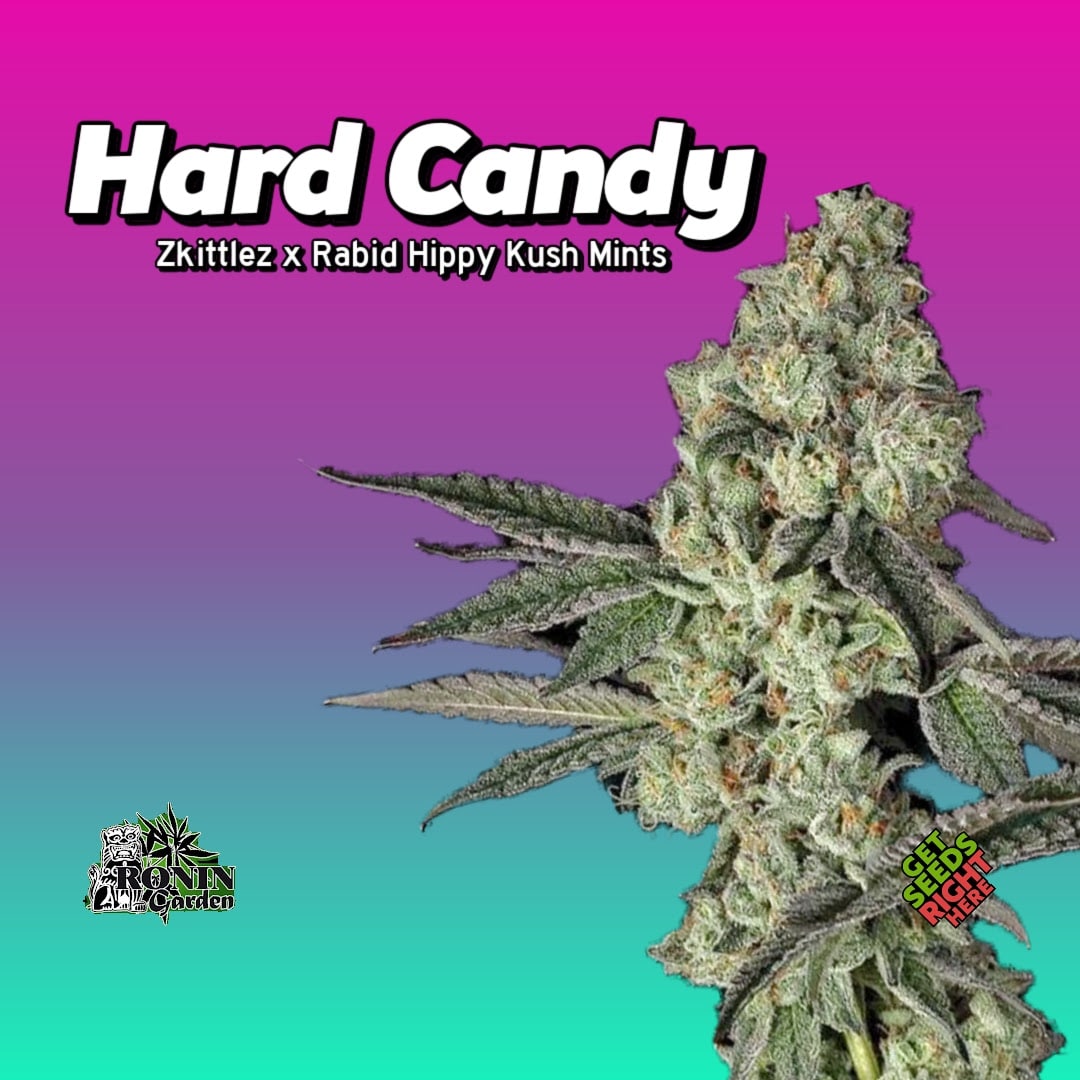 Hard Candy