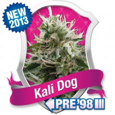 Kali Dog