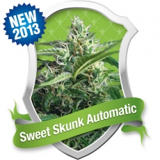 Sweet Skunk Automatic (Royal Queen Seeds) :: Cannabis Strain Info