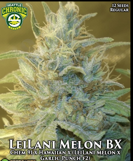 LeiLani Melon BX