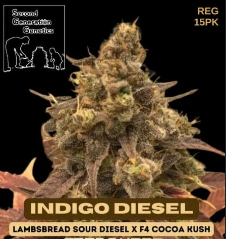Indigo Diesel