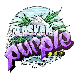 Alaskan Purple