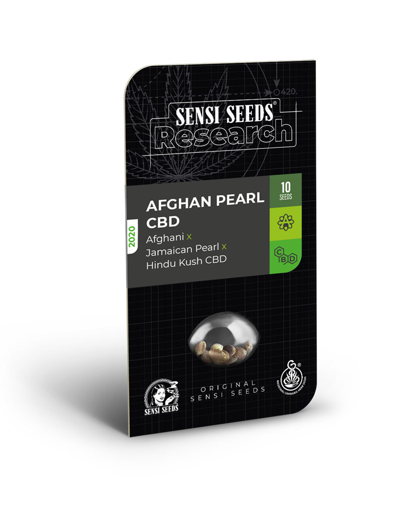 Afghan Pearl CBD Automatic