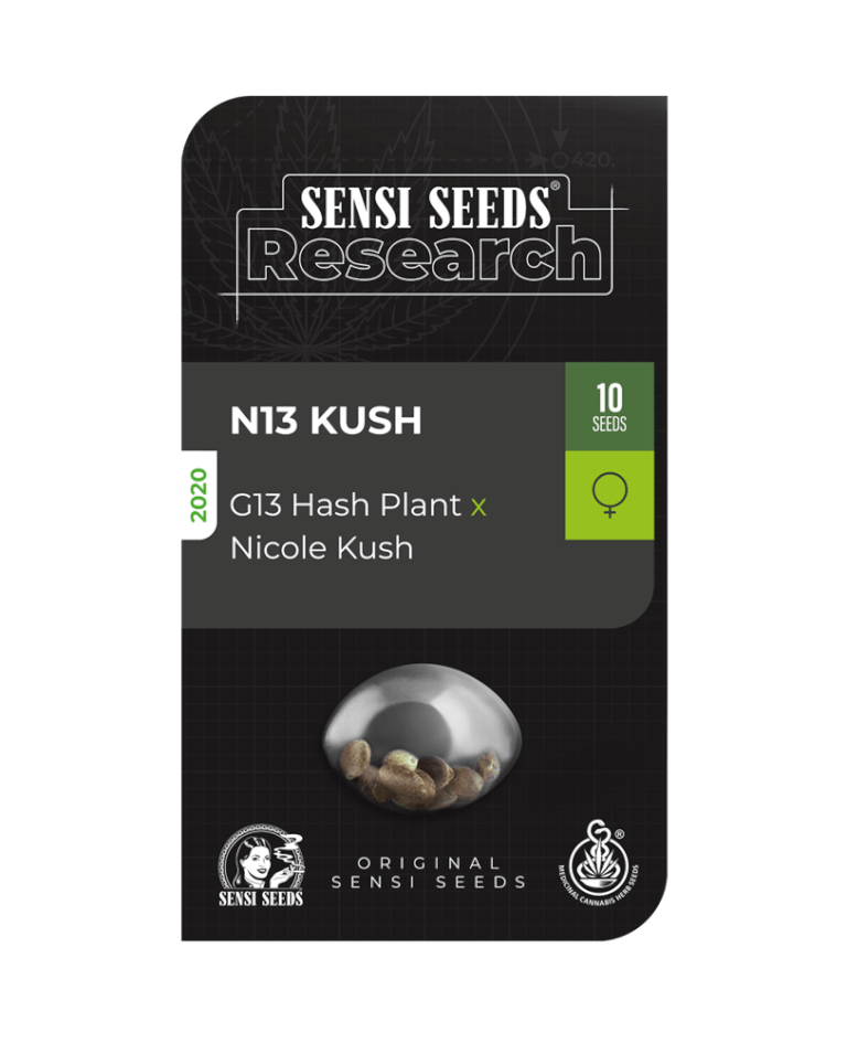 N13 Kush