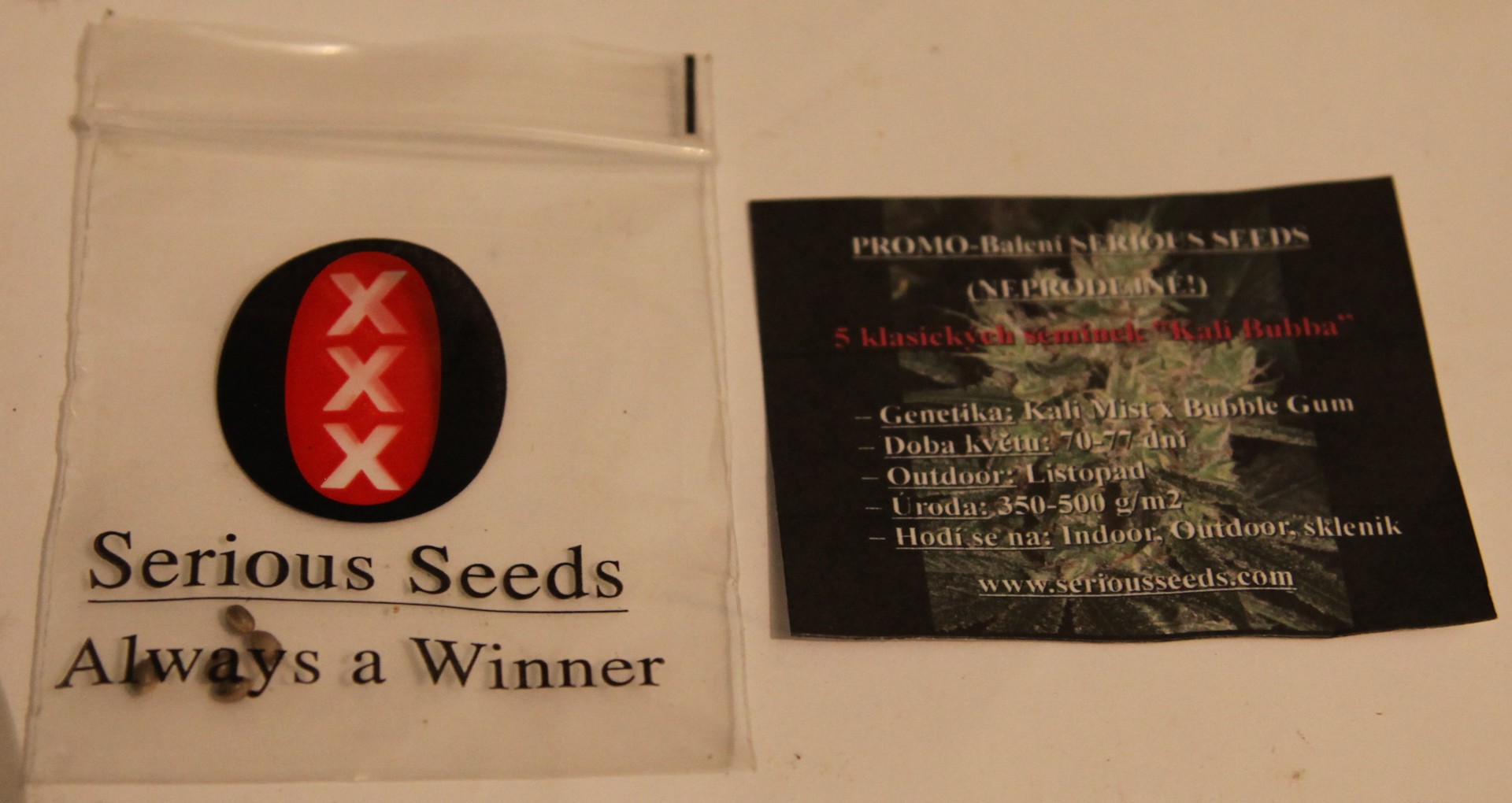 Kali Bubba archive 0