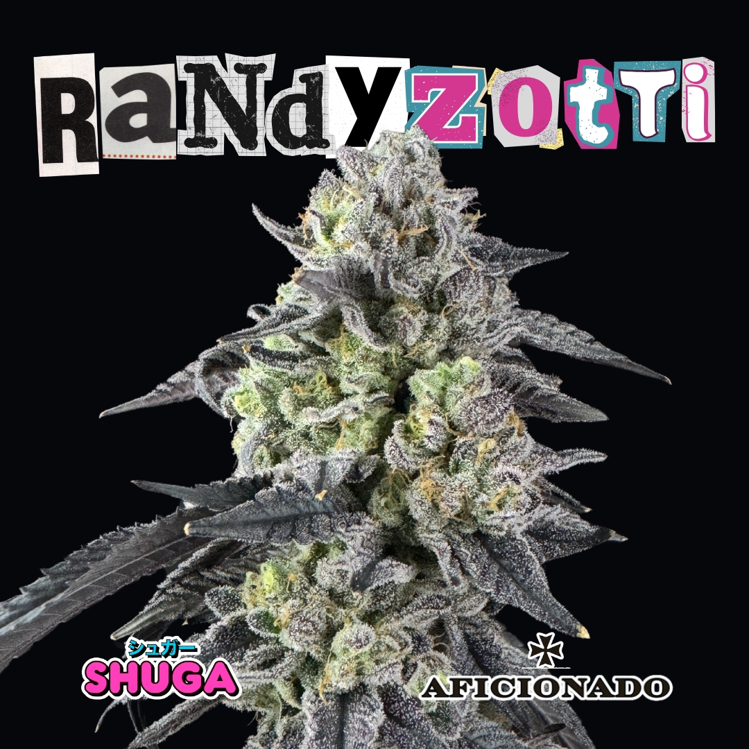 Randyzotti archive 0