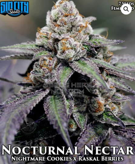 Nocturnal Nectar