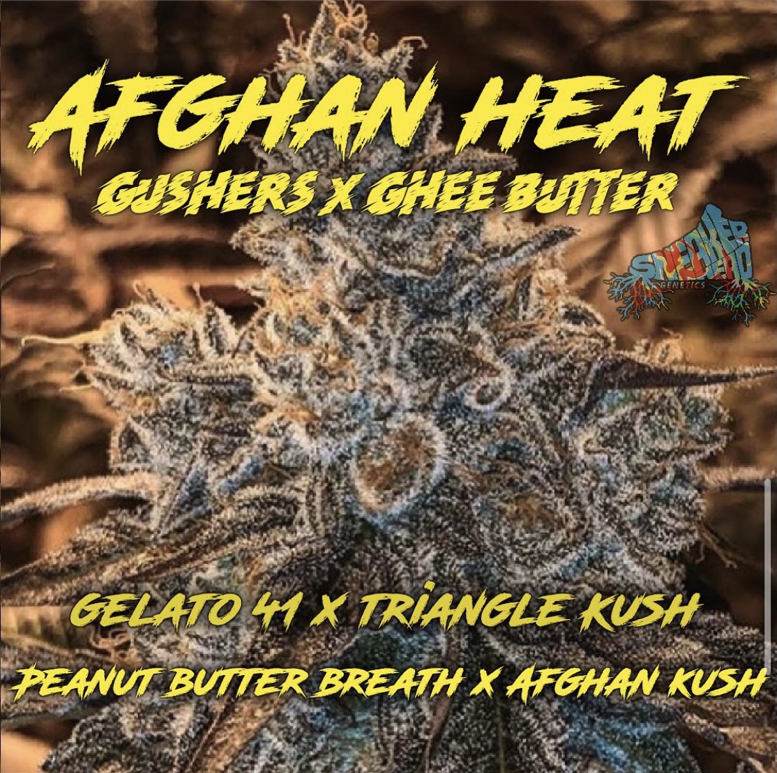 Afghan Heat
