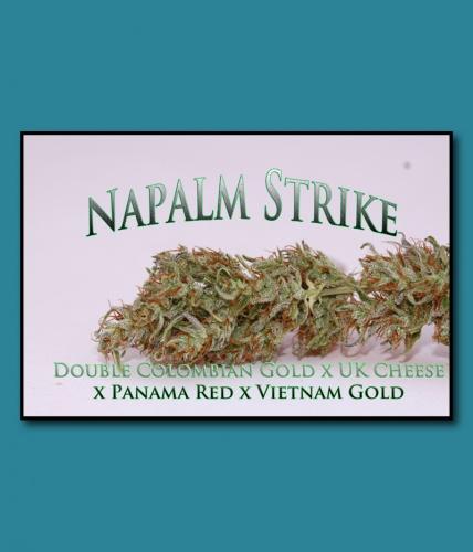 Napalm Strike