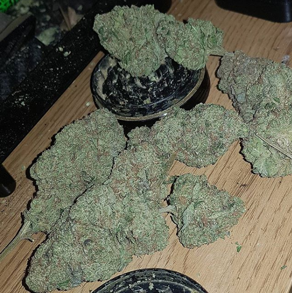 Tahoe Biker OG archive 0